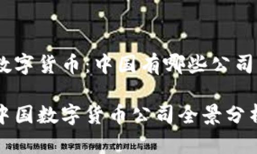数字货币:中国有哪些公司
中国数字货币公司全景分析