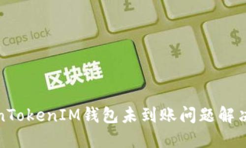 TokenTokenIM钱包未到账问题解决指南