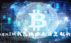 TokenTokenIM钱包地址无法复