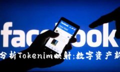 深入分析Tokenim映射：数字