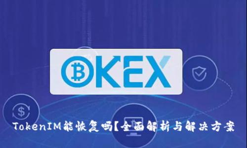 TokenIM能恢复吗？全面解析与解决方案