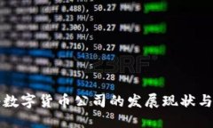 中国网络数字货币公司的