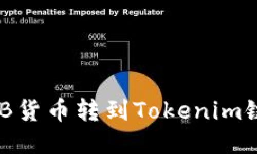 如何将SHIB货币转到Tokenim链:详细指南