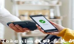 如何通过Tokenim找回丢失的