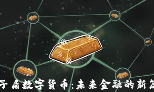 量子盾数字货币:未来金融的新篇章