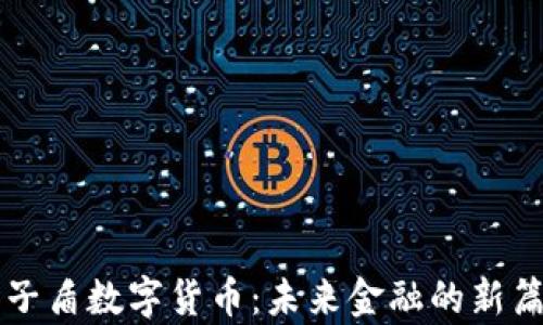 量子盾数字货币:未来金融的新篇章