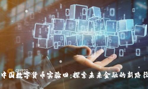 中国数字货币实验田:探索未来金融的新路径