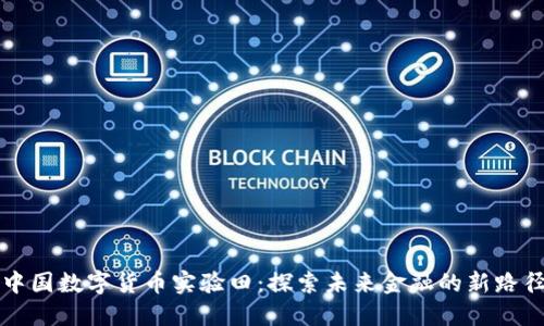 中国数字货币实验田:探索未来金融的新路径