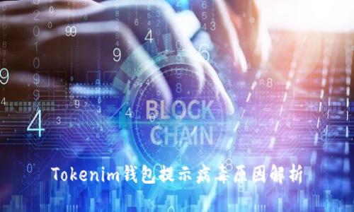 Tokenim钱包提示病毒原因解析