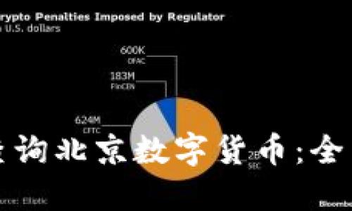 如何查询北京数字货币:全面指南