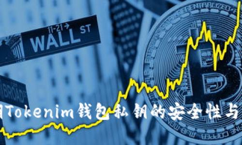 早期Tokenim钱包私钥的安全性与管理