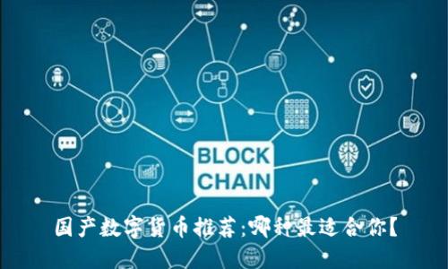 国产数字货币推荐：哪种最适合你？