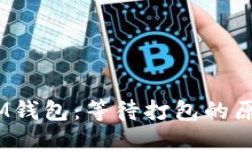 TokenTokenIM钱包:等待打包的原因与解决方案