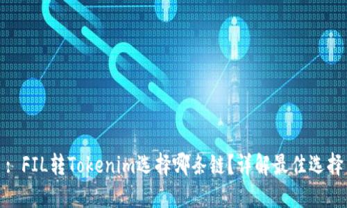 : FIL转Tokenim选择哪条链?详解最佳选择