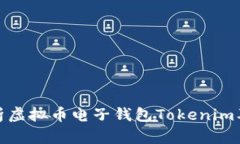 全面解析虚拟币电子钱包