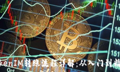 TokenIM转账流程详解:从入门到精通