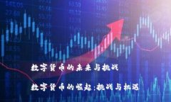 数字货币的未来与挑战数