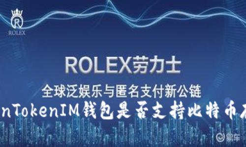 TokenTokenIM钱包是否支持比特币存储?