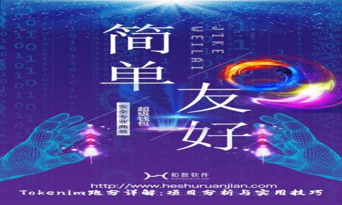 Tokenim跑分详解:项目分析与实用技巧