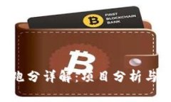 Tokenim跑分详解：项目分析
