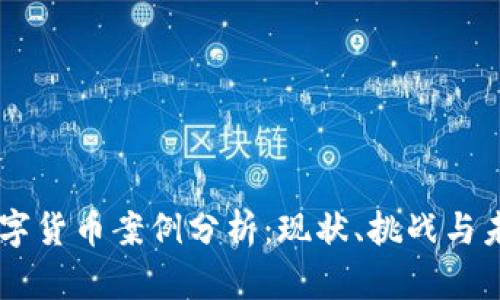 印度数字货币案例分析:现状、挑战与未来展望