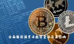 全面解析满星云数字货币