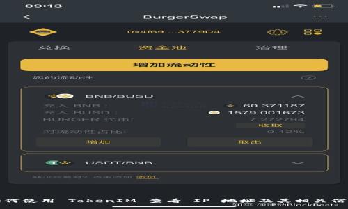 如何使用 TokenIM 查看 IP 地址及其相关信息