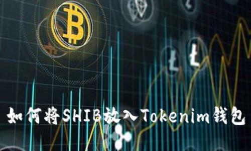 如何将SHIB放入Tokenim钱包