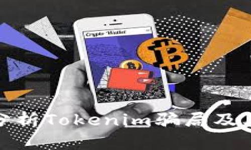 深入分析Tokenim骗局及其影响