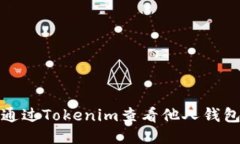 如何通过Tokenim查看他人钱