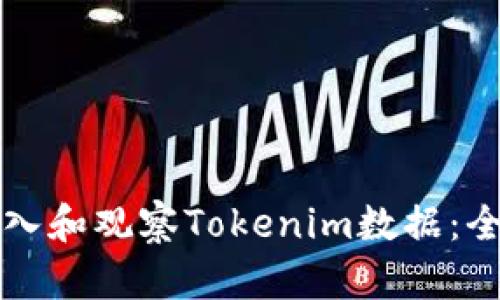 如何导入和观察Tokenim数据：全面指南