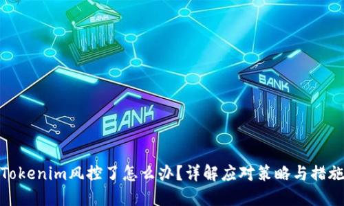 Tokenim风控了怎么办?详解应对策略与措施