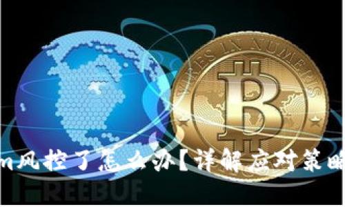 Tokenim风控了怎么办?详解应对策略与措施