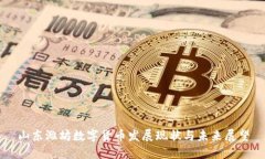 山东潍坊数字货币发展现