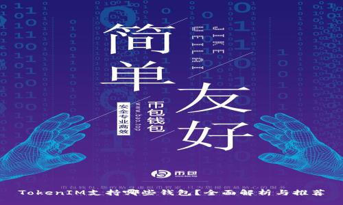 TokenIM支持哪些钱包?全面解析与推荐