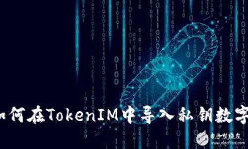 如何在TokenIM中导入私钥数字?