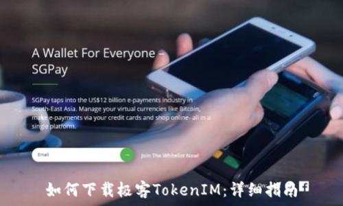 如何下载极客TokenIM:详细指南