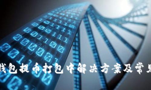 : 以太坊钱包提币打包中解决方案及常见问题解析