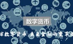 全球数字货币：未来金融
