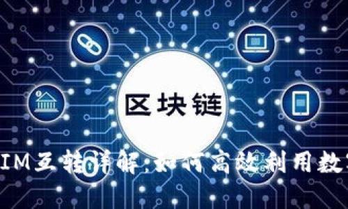 TokenIM互转详解:如何高效利用数字资产