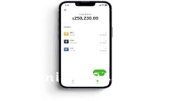 如何在Tokenim的DApp中显示