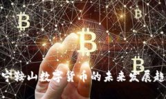 辽宁鞍山数字货币的未来