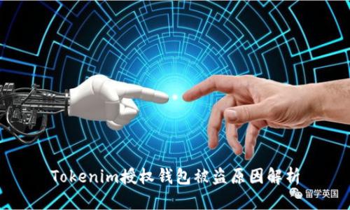 Tokenim授权钱包被盗原因解析