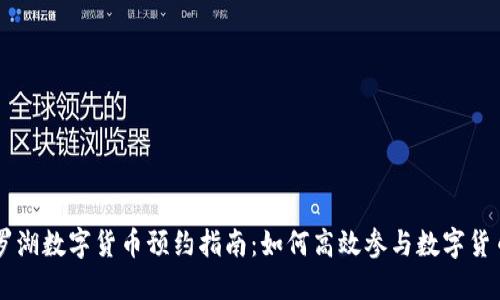 深圳罗湖数字货币预约指南:如何高效参与数字货币交易