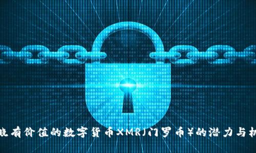 揭晓有价值的数字货币XMR(门罗币)的潜力与机遇
