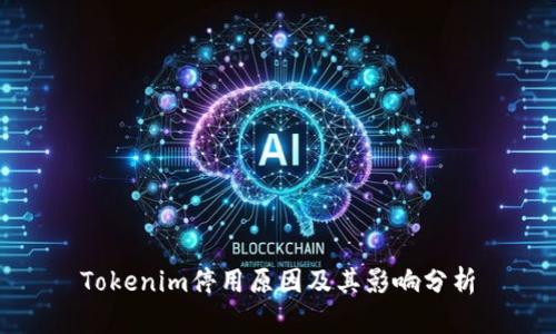 Tokenim停用原因及其影响分析