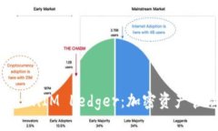 normal深入解析TokenIM Ledge