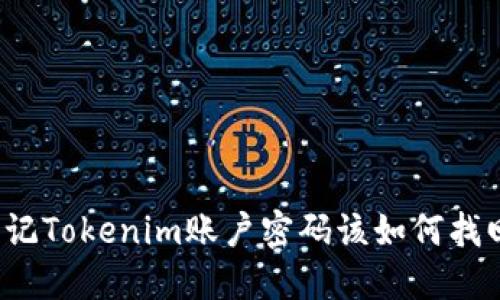 忘记Tokenim账户密码该如何找回？