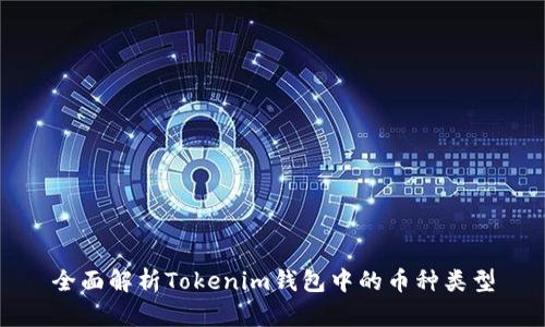 全面解析Tokenim钱包中的币种类型