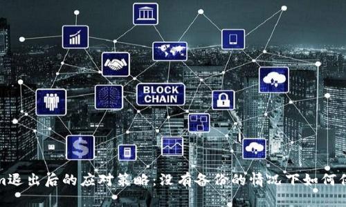 Tokenim退出后的应对策略：没有备份的情况下如何保护资产